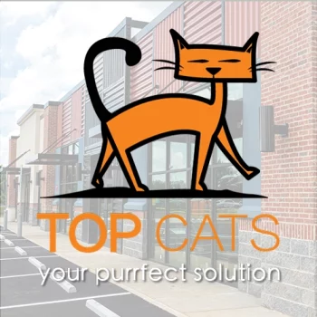 topcats-portfolio-picture